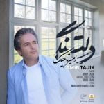 آهنگ دلتنگی با صدای امیر تاجیک